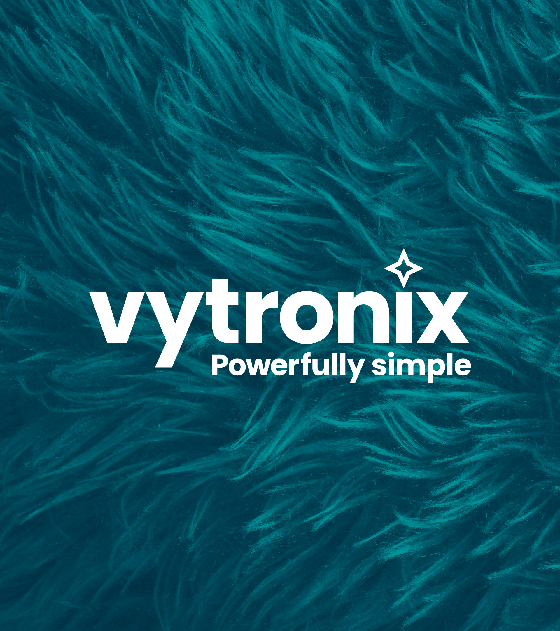 Vytronix Branding