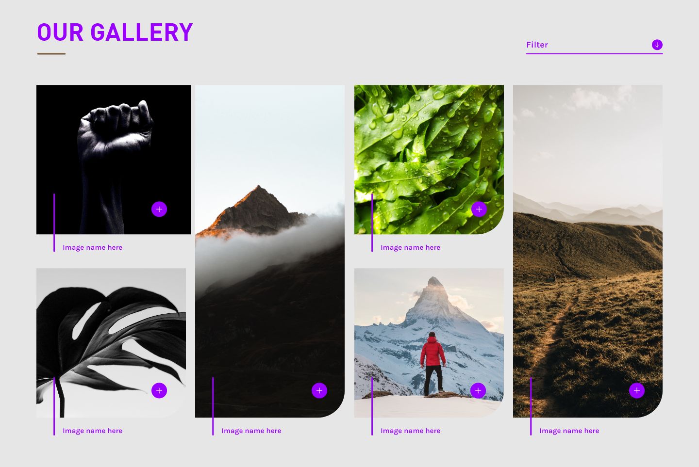 gallery