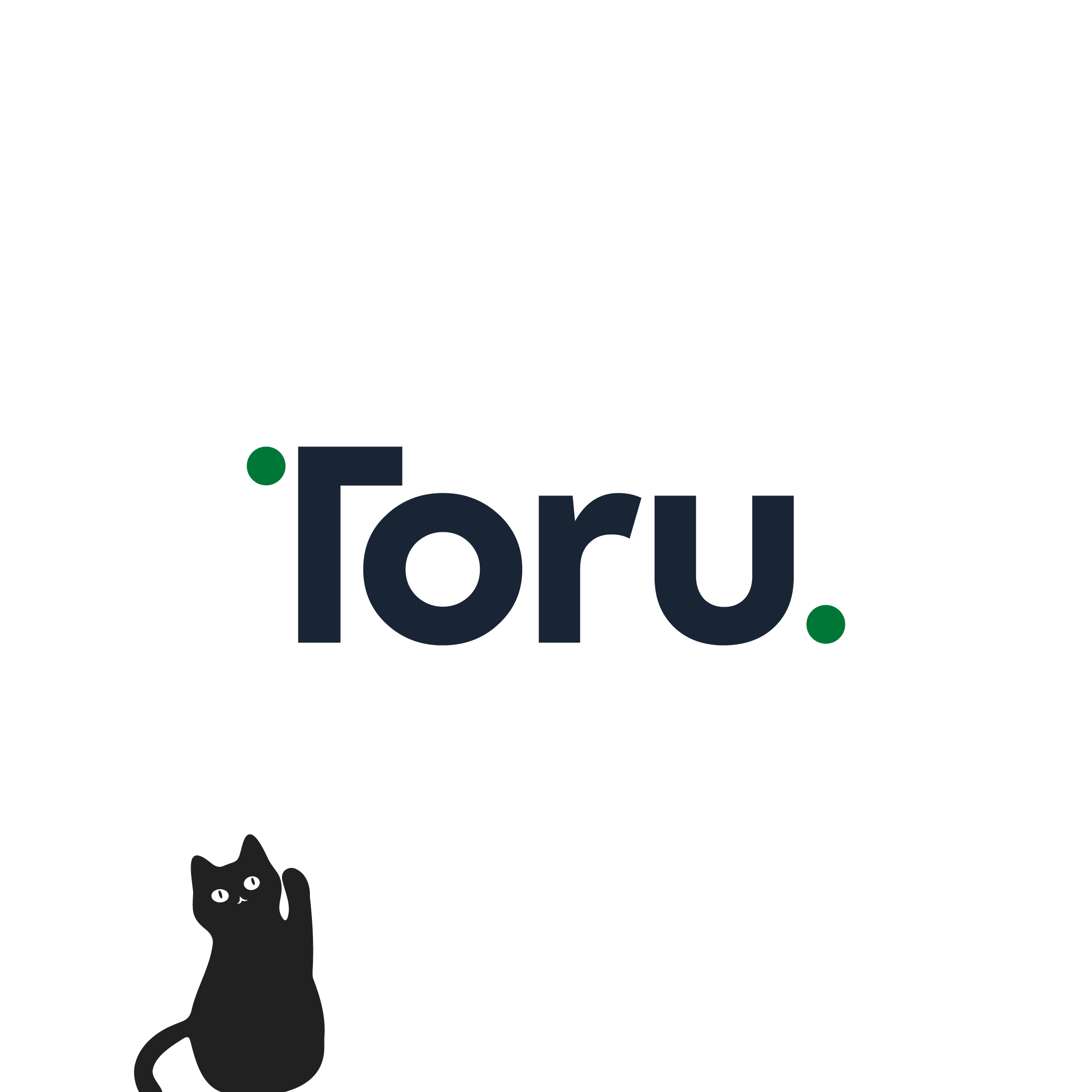 Toru Logo